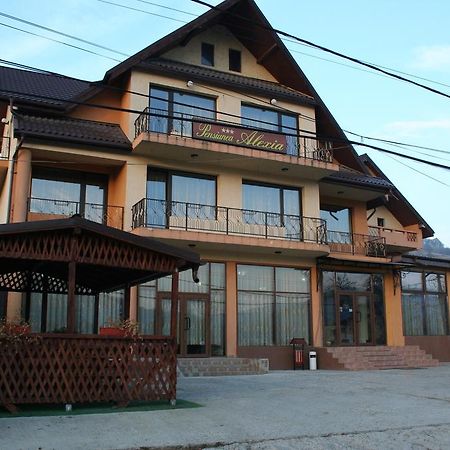Pensiunea Alexia Piatra Neamt Exterior photo