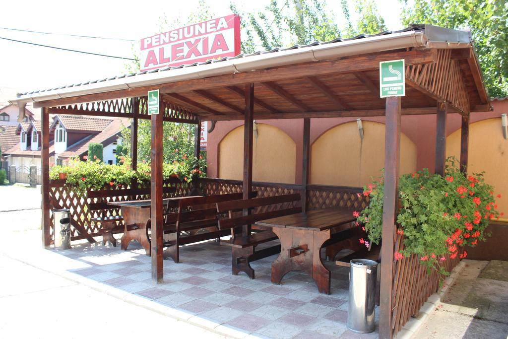 Pensiunea Alexia Piatra Neamt Exterior photo